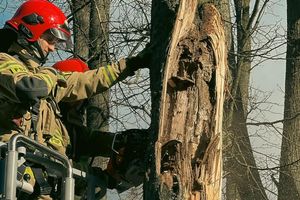 Strażacy z Warmii i Mazur mieli ręce pełne roboty podczas długiego weekendu