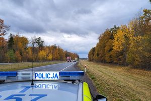 Czy dużo pracy mieli ełccy policjanci? 