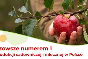 Mazowsze polskim liderem w produkcji sadowniczej i mlecznej