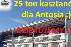 Finał akcji. Zebrali 25 ton kasztanów dla Antosia!