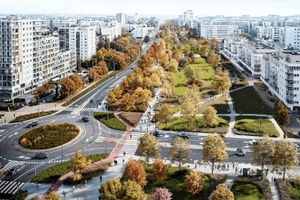 Pierwsze drzewa w parku nad tunelem obwodnicy na Ursynowie