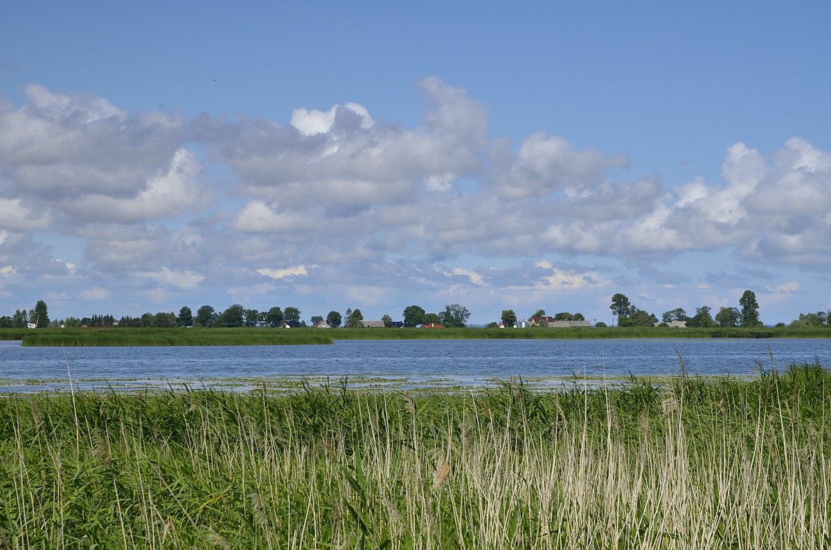 Zatoka Elbląska