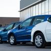 Panek zawiesza car sharing