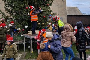 Choinka w Biskupcu wprowadziła świąteczny nastrój 