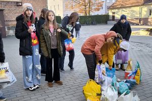 Przytuliska, opiekunowie tymczasowi i schroniska dla zwierząt liczą na nasze wsparcie dla podopiecznych