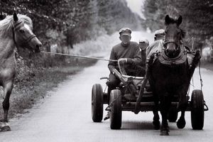 Dlaczego jedni są bogaci, a drudzy biedni?