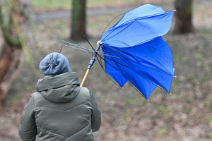  IMGW wydaje ostrzeżenia. Wiatr może osiągać prędkość nawet 80 km/h 