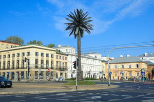 Sztuczna palma, która zakorzeniła się w sercu Warszawy