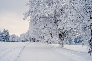 Rozpoczyna się astronomiczna zima. Przed nami niskie temperatury i długie noce?