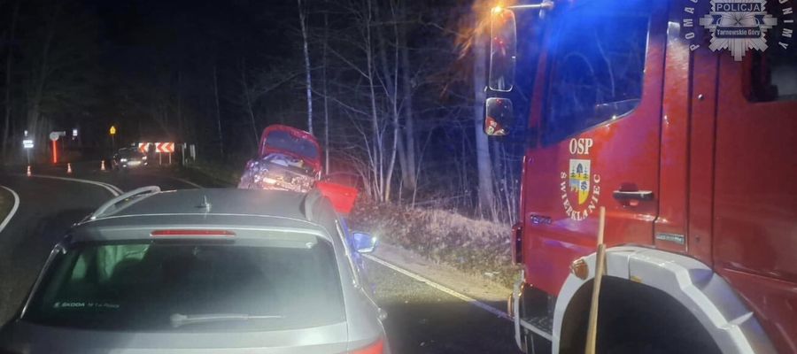 Czołowe zderzenie w Śląskiem. 