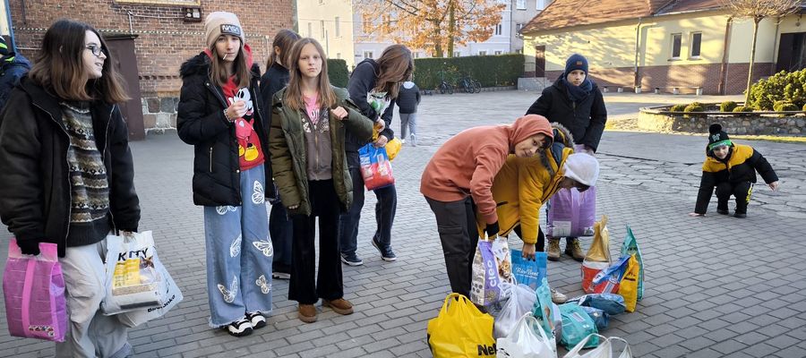 Końcowa faza akcji zbiórki karmy w SP 3