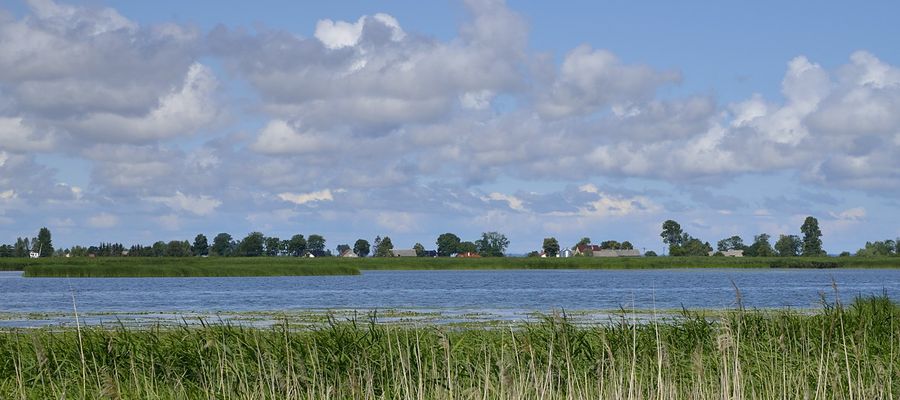 Zatoka Elbląska