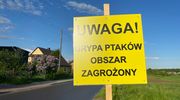 Ptasia grypa w kolejnej hodowli 