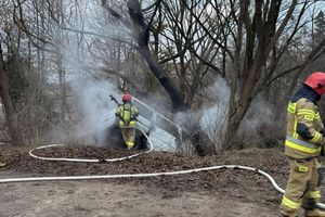 Samochód spłonął doszczętnie