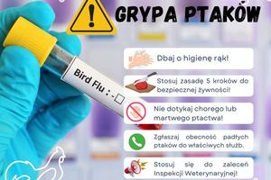 Kętrzyński sanepid przypomina o ptasiej grypie