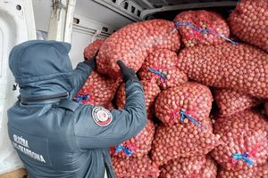 Węgier złapany w ok. Barwinka. Chciał przewieźć tytoń w orzechach