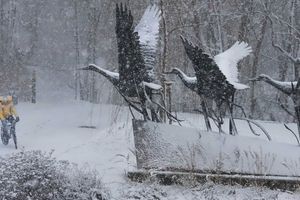 Śnieg spowił stolicę Warmii i Mazur [ZDJĘCIA]