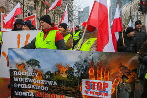 Protest rolników przeciw umowie z Mercosur, Zielonemu Ładowi, importowi z Ukrainy
