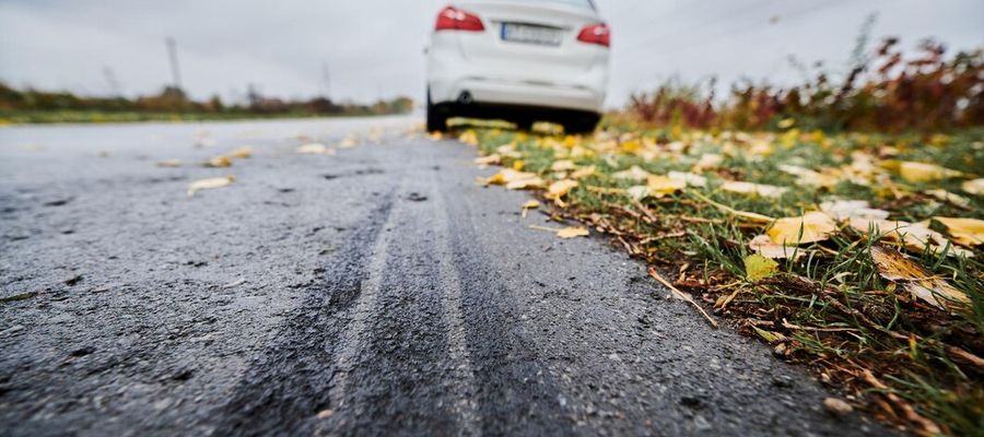 Zdjęcie jest tylko ilustracją do tekstu 