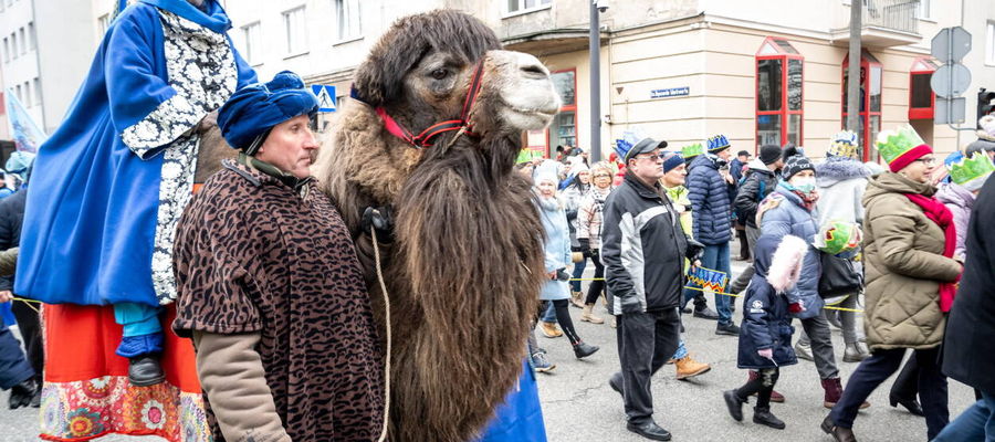 Zdjęcie jest tylko ilustracją do tekstu 