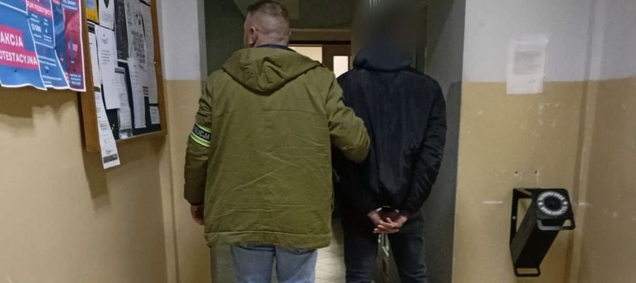 Zdjęcie jest ilustracją do tekstu  
