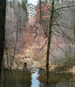 Rowerowa Obwodnica Olsztyna: Olsztynianie pokochaliby te żółwie