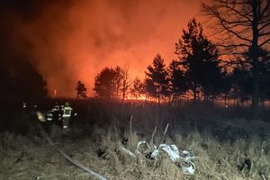 Ogromny pożar w Czajkowej. Spłonęło kilka hektarów lasów i traw 