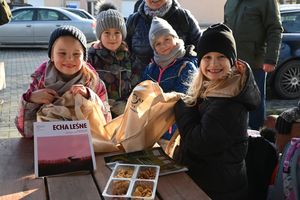 Szaleństwo na trampolinach i tubingu, leśne pyzy dla ptaków