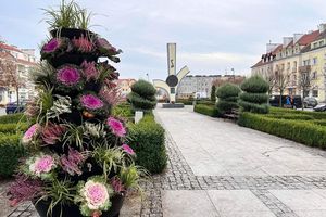 Niebiesko-zielone granty 2025 - nabór już od marca