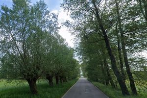 Znikające ślady przeszłości – Kampinoski Park Narodowy planuje kolejne rozbiórki