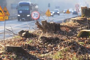 Przebudowa wylotu z Olsztyna. Ruszają pierwsze prace? [ZDJĘCIA]