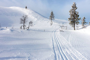 Rekordowy spadek temperatury w Laponii