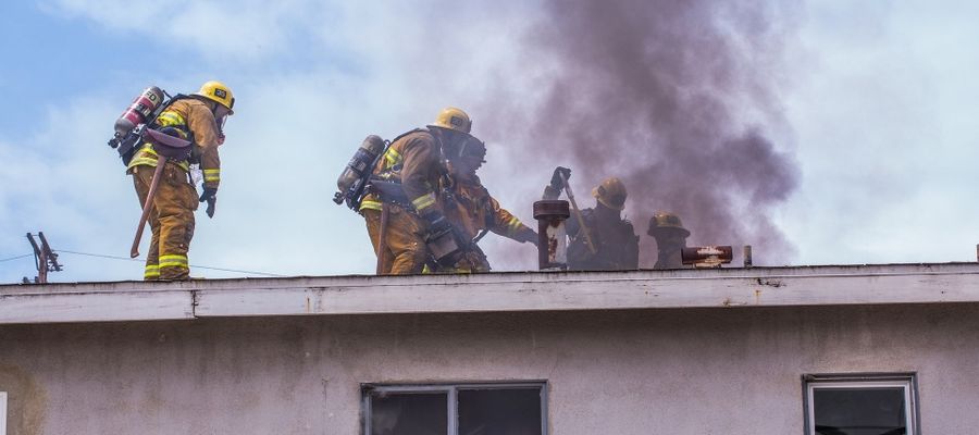 Zdjęcie jest tylko ilustracją do tekstu 