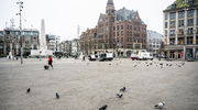 Atak nożownika w Amsterdamie. Wśród ofiar Polak 