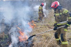 Od czwartku było już 60 pożarów traw; wypalanie traw jest zabronione