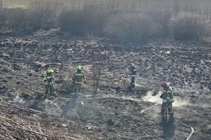 Pożar w powiecie iławskim. Ogień objął trzy hektary, strażacy walczyli z żywiołem