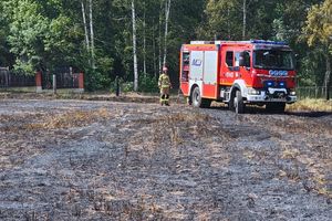 Od czwartku było już 60 pożarów traw; wypalanie traw jest zabronione