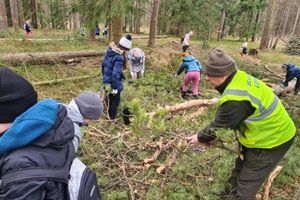 Od nasionka do drzewa. Leśnicy z Miłomłyna edukują młodzież w praktyce 