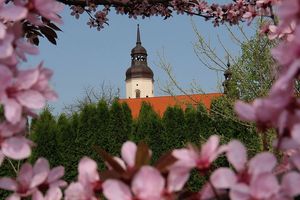 W czwartek rozpocznie się astronomiczna wiosna