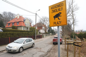 Nowe znaki na olsztyńskich ulicach. Kierowcy muszą mieć się na baczności [ZDJĘCIA] 