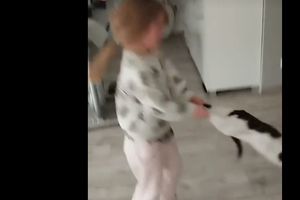 7-latka znęcała się nad kotem, nagranie z tej 