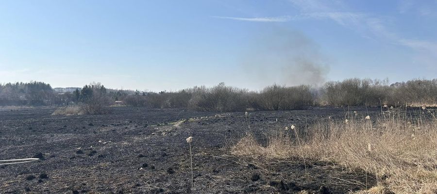 Strażacy przez kilka godzin gasili pożar traw i trzynowiska/Fot. arch. OSP Stare Jabłonki