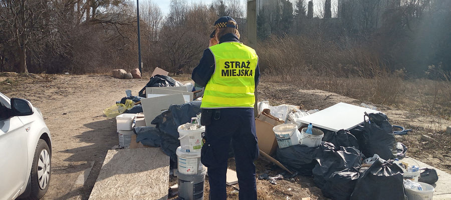 Zdjęcie jest ilustracją do tekstu