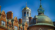 Trump: Harvard to kpina