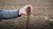 Ostatni dzień na złożenie wniosku o pomoc suszową i powodziową
