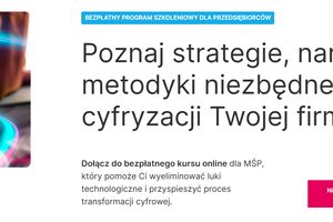 WAMA EDIH – wsparcie dla firm na drodze do cyfryzacji