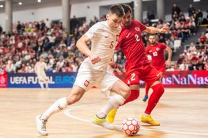 Niesamowite emocje w Mielcu! Polska jedzie na Euro!