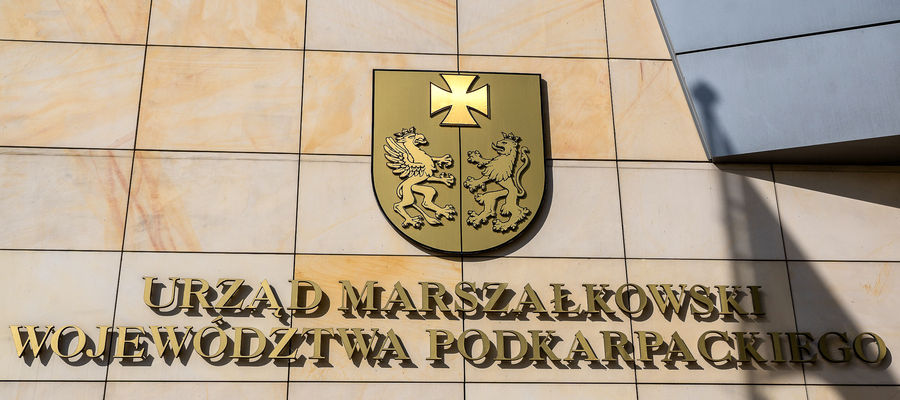 Zdjęcie jest ilustracją do tekstu