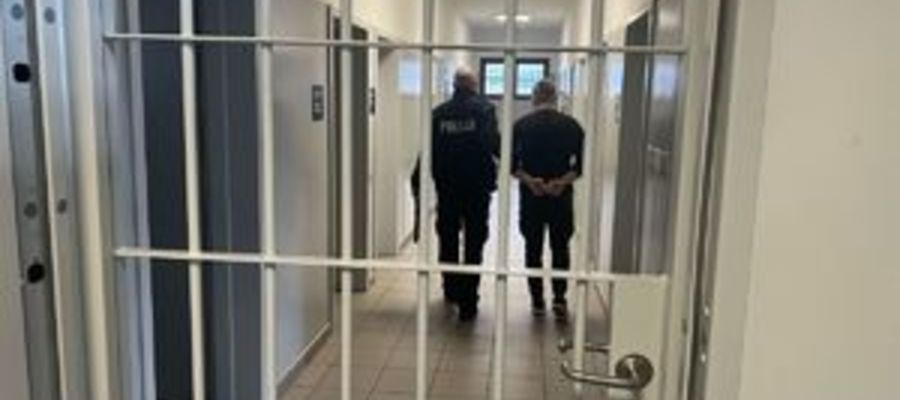 Zdjęcie jest ilustracją do tekstu