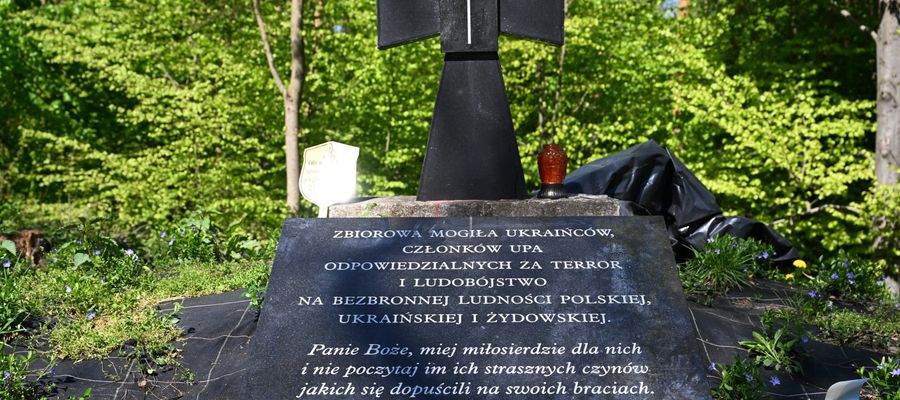 Zdjęcie jest ilustracją do tekstu